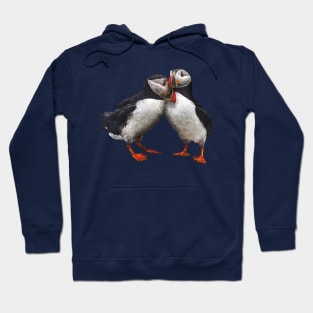 Atlantic puffin Hoodie